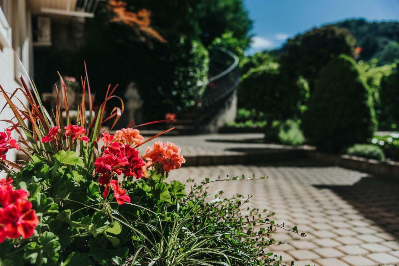 Apartmaji Urska Laško Esterno foto